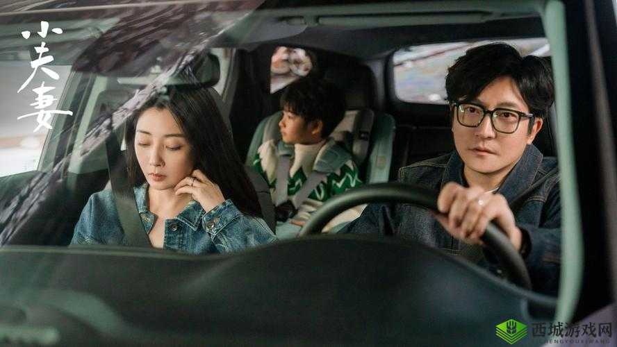 适合夫妻看的电视剧有哪些:经典剧集推荐