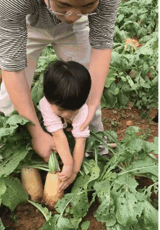 拔萝卜生孩子蹲球：无码激情挑战