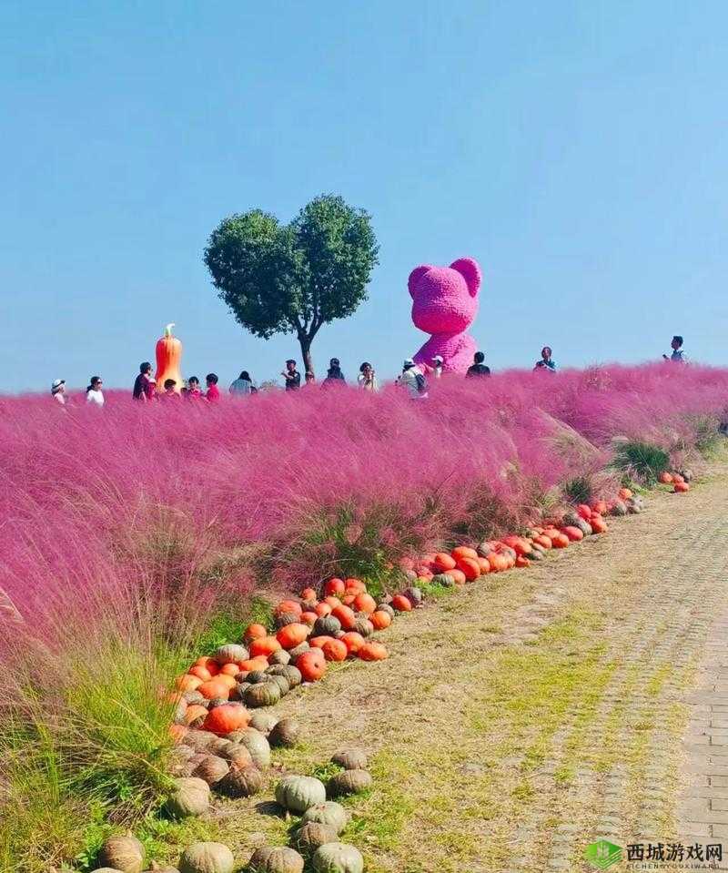 粉色 ABB 九幺:独特魅力展现