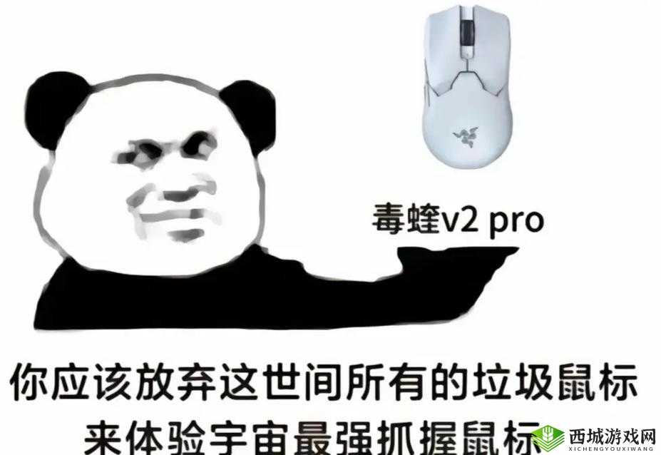 觊觎 1v2 猫丸:超有趣的组合