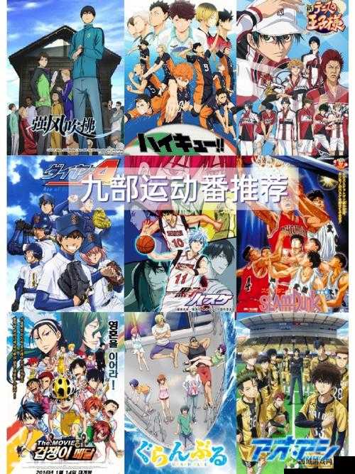 体育器材室的动漫叫什么:热血运动之挑战巅峰