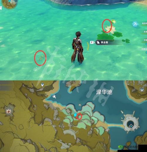 原神黄金蟹刷新地点攻略:全地图汇总
