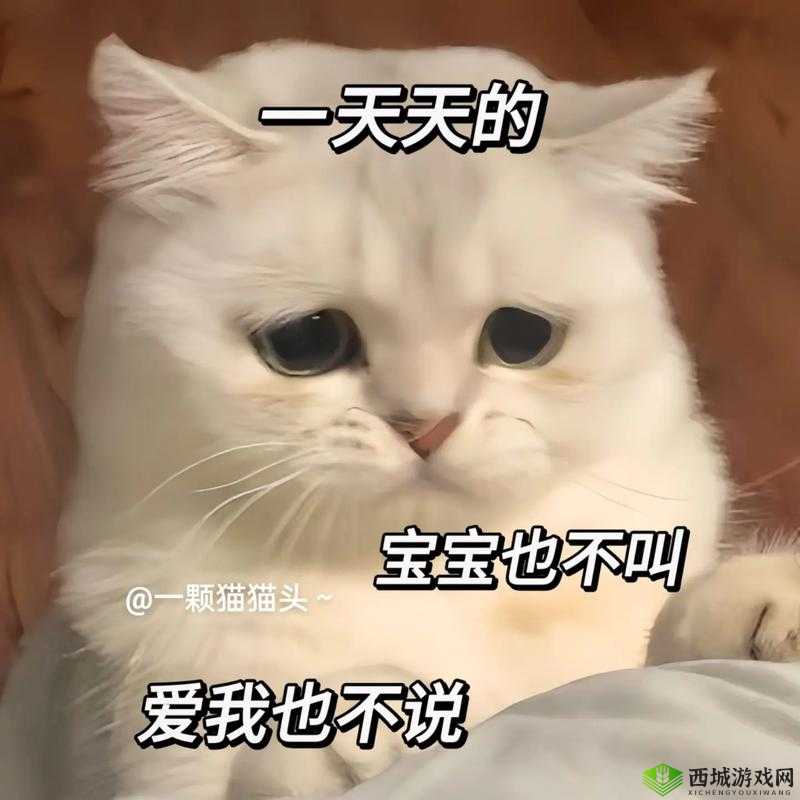 52G 我爱犒相关内容