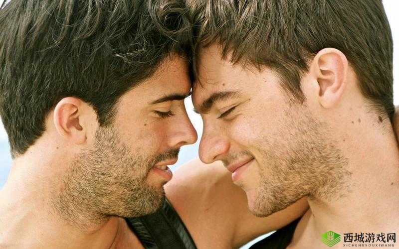 男生和男生一起差差差的视频 30 分钟:激情燃烧的兄弟情