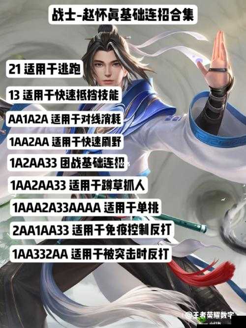 王者荣耀赵怀真连招攻略大全：掌握核心连招，轻松制霸战场