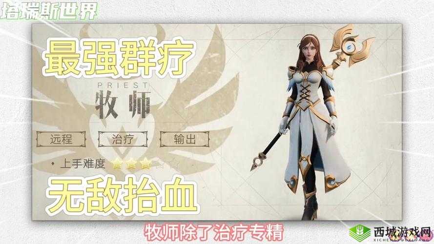 龙之谷手游战士与牧师职业对比攻略：深度探讨战士与牧师的优劣及选择策略