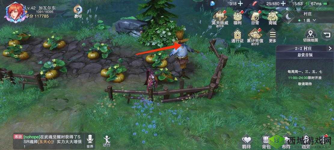 探寻斗罗大陆猎魂森林神秘宝箱的具体位置究竟在哪