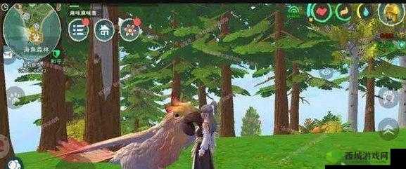 想知道创造与魔法中斑斓鹦鹉饲料的制作方法吗快来瞧瞧