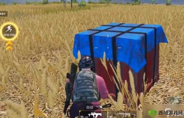 和平精英抢夺空投技巧大揭秘 教你如何成功获取空投物资