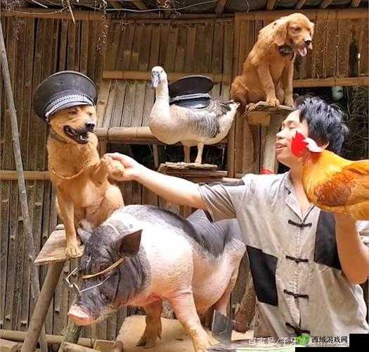 人与畜禽一 CORPORATION:关于它的探讨