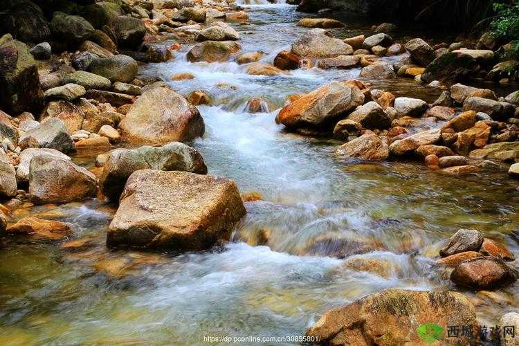 黄龙直捣溪水潺潺全新发布作品震撼登场