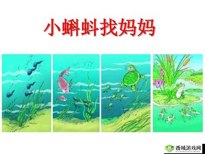 释放蝌蚪的网站:让生命自由回归自然