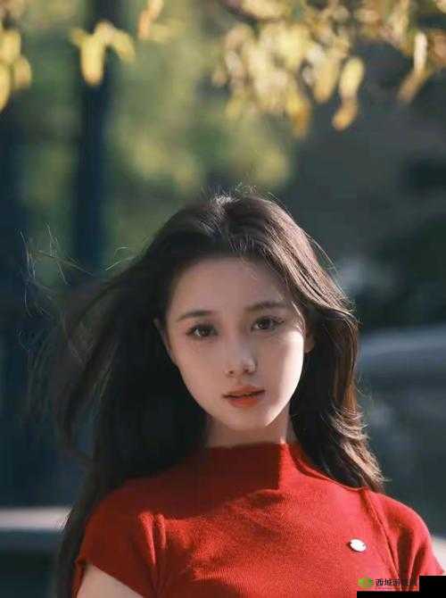 楚清仪和雪琪小说:她们的故事