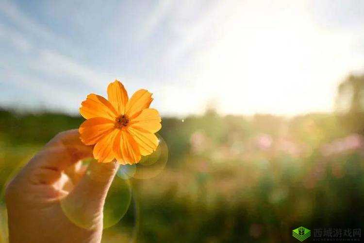 色欲丫丫爽：无尽的激情与欲望之火