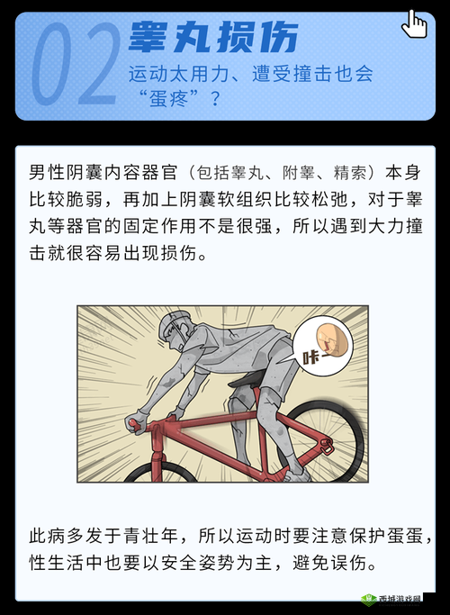 男生的小蛋蛋疼长什么样:可能的原因和症状