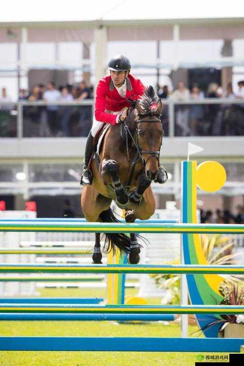 荷兰合体大赛直播全程回放视频:精彩呈现