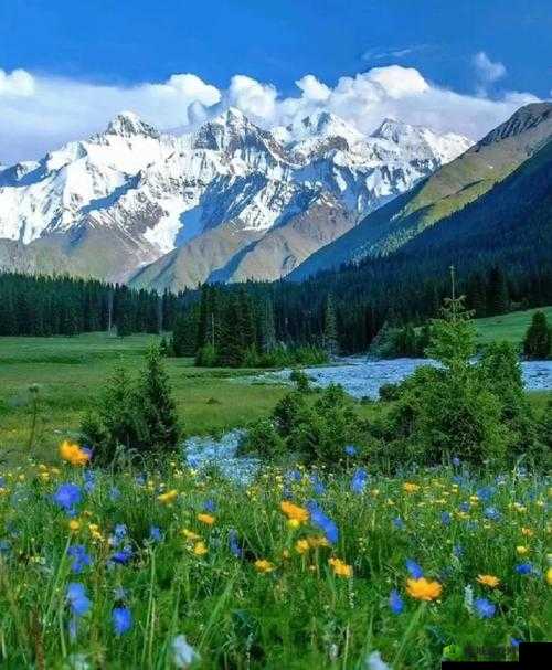 《战成名王者荣耀刷久经沙场攻略，成就你的王者之路》