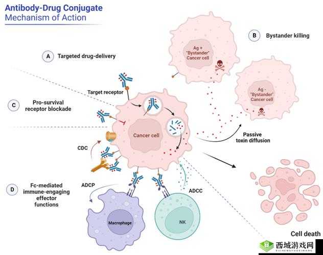 全民英杰传战场机关详解:触发策略与机制探究