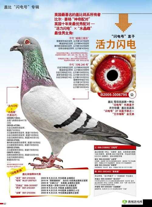 工棚中欲女的别样故事