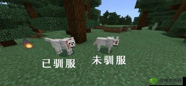 我的世界狼之秘:狼属性详解与狼图鉴完全指南