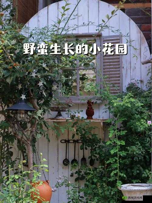 女生的小花园可以吃吗:探秘私密花园的食用之谜