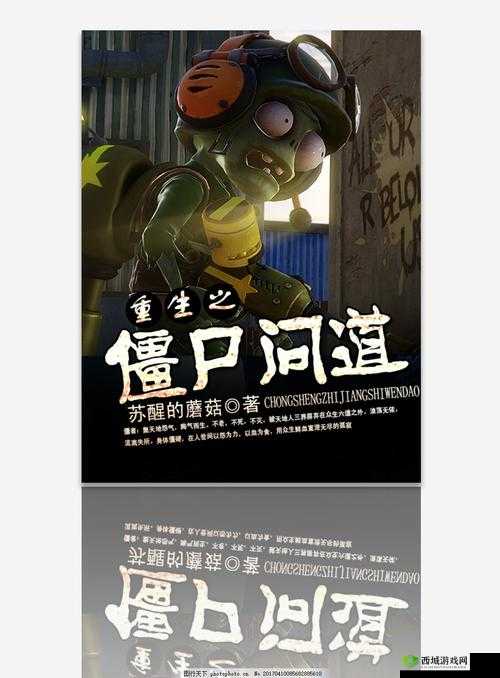 骑蛇难下双金银：一个独特的表述