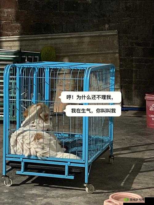 老牛嫩草一二三产品有何区别?