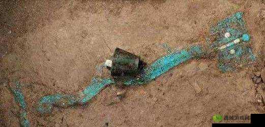 家里的什么东西质感像舌头：探寻未知之谜