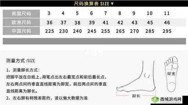 精品欧洲一码二码区别在哪：深度解析其差异