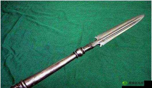一杆长枪植入两扇门:神奇景象引发遐想