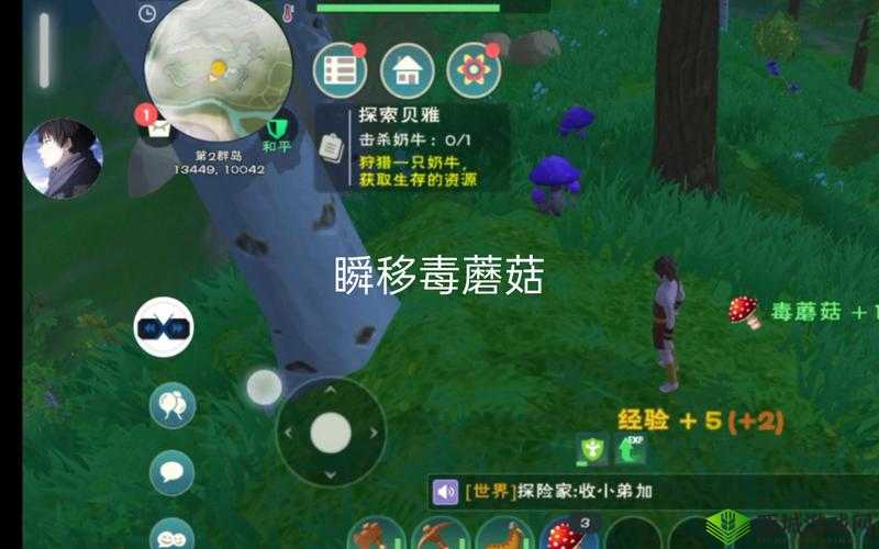 探索创造与魔法中那些神秘且暗藏有毒蘑菇的神奇之地