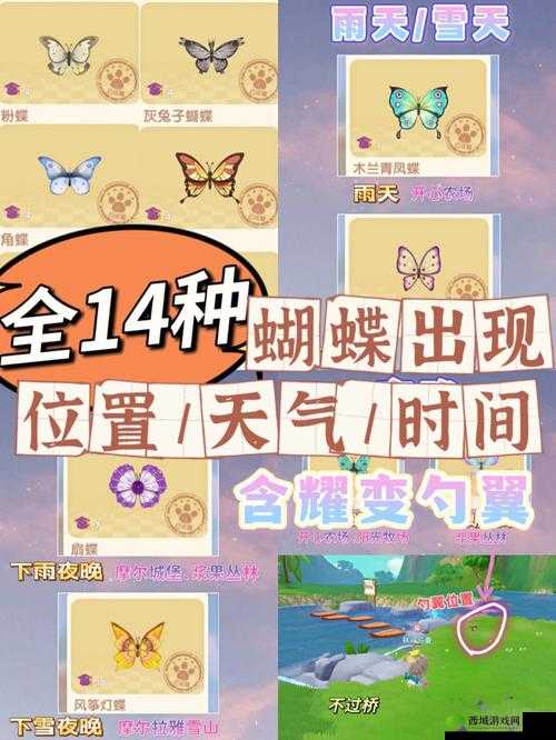 摩尔庄园手游：蝴蝶兰是什么？解锁蝴蝶兰种子的方式介绍