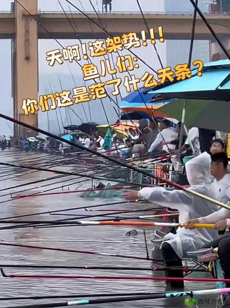 粗暴交 videos 乱叫:震撼场景呈现