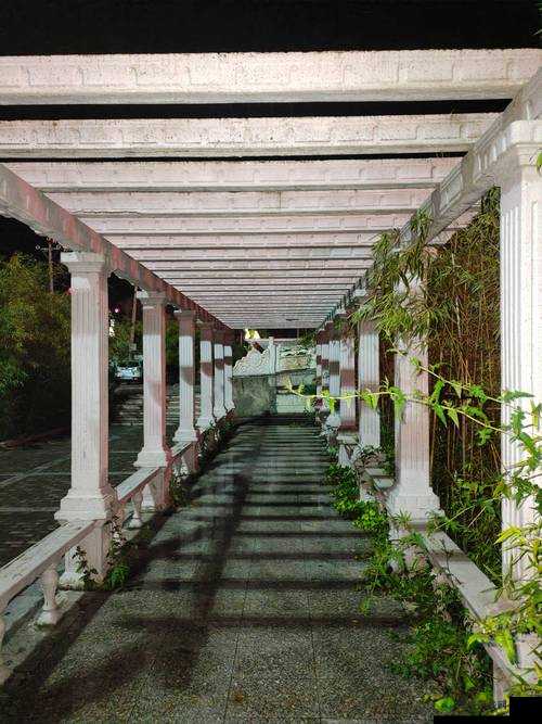 足交 91:独特体验与别样感受