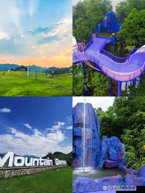 仙踪林官网:带你领略奇幻世界