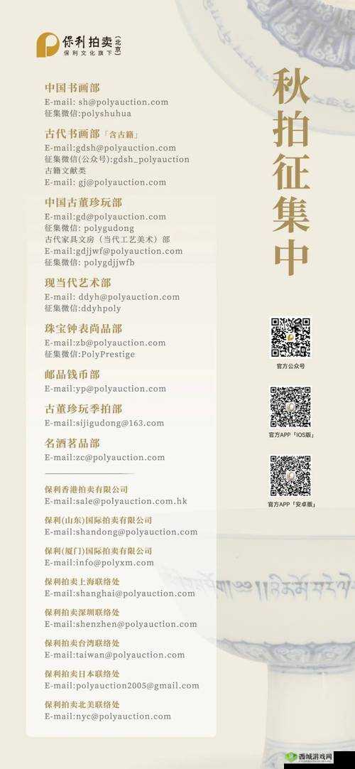 国外 B 站：探索精彩视频世界