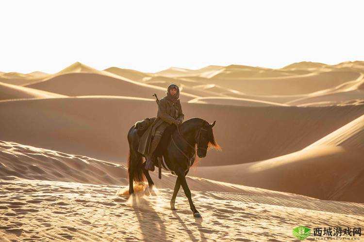 爆插美穴：极致刺激的体验