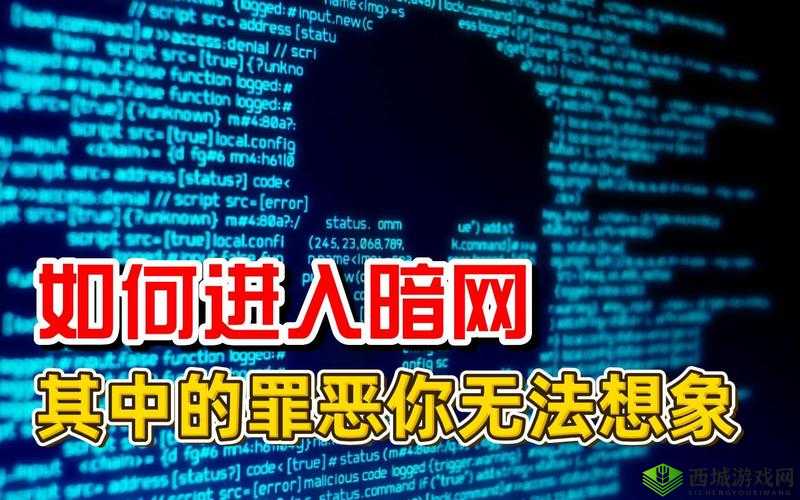 暗网性巴克:探索其神秘与罪恶