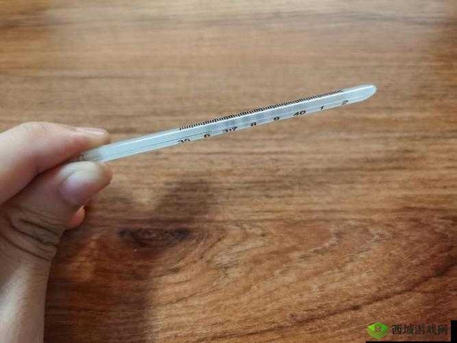 温度计 PLAY 检查:探索温度的奇妙之旅