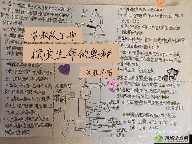 探索 HBOMAX 免费观看的科技奥秘之神奇方法