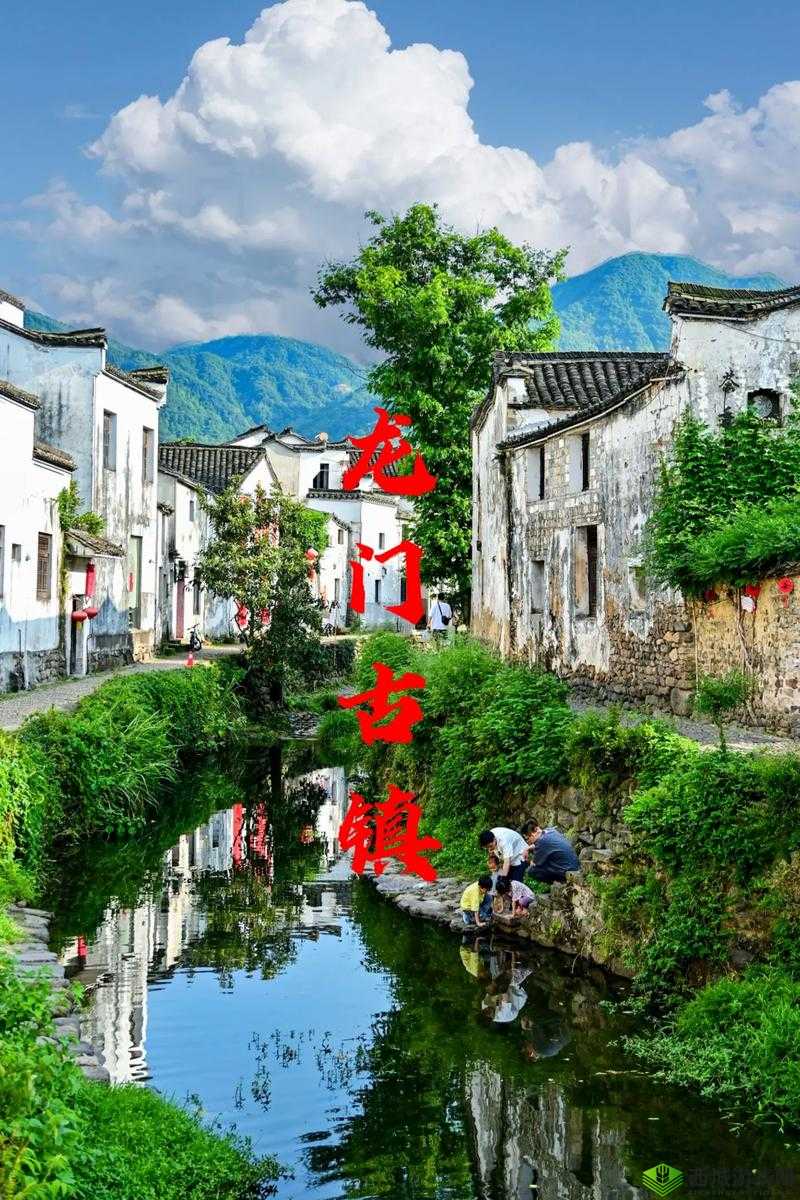 老太太毛片:被遗忘的宝藏