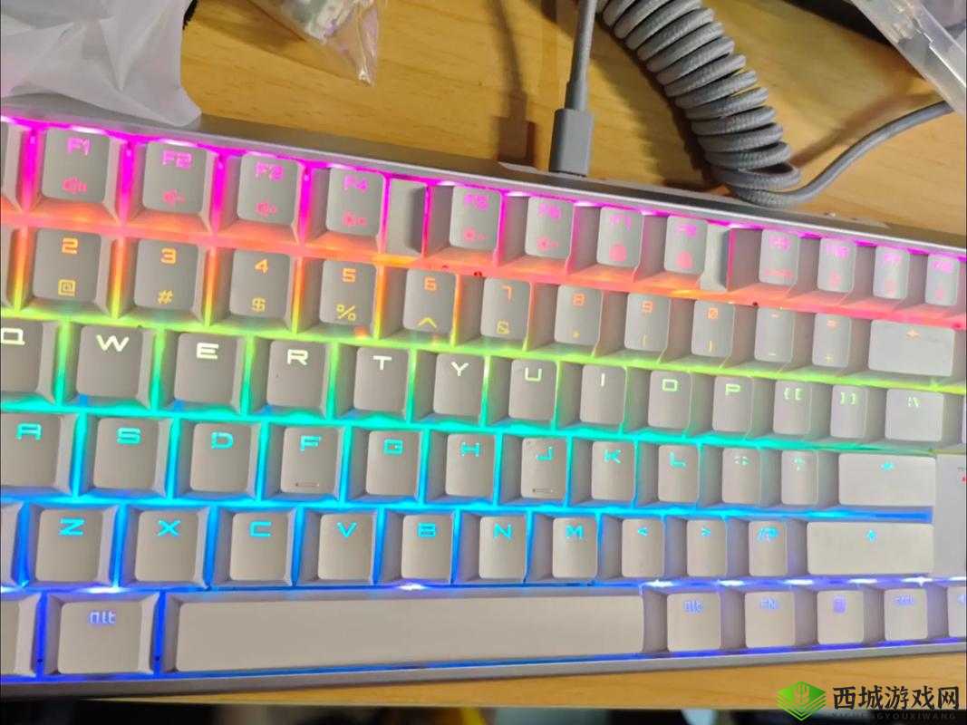 樱桃 MW2310：高品质无线键盘之选