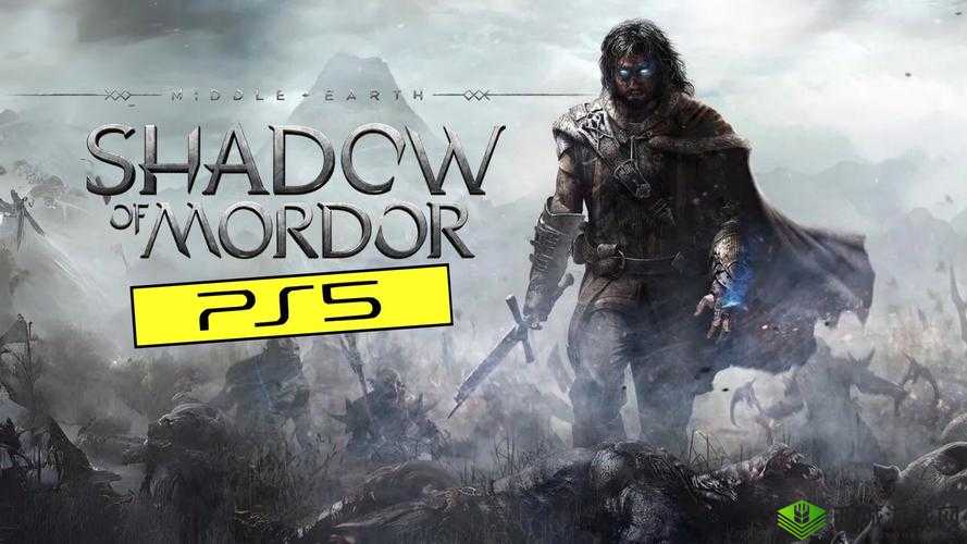 中土世界暗影魔多双显卡停止工作的有效解决策略及方法