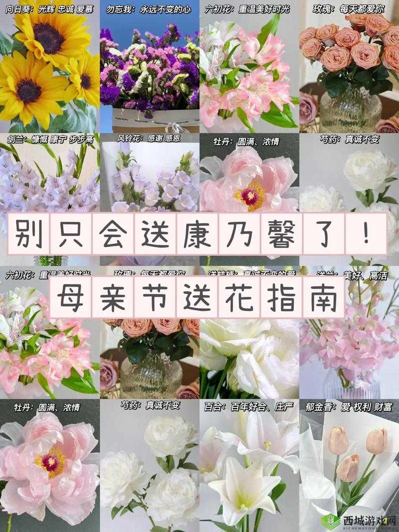 关于母亲节：花语解读与送花选择的巧妙搭配