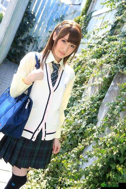 Japanesevideos 精彩合集