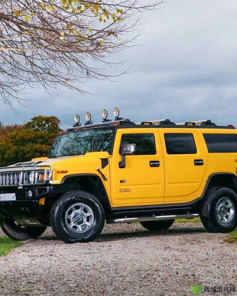 操毛网站,带你领略不一样的体验