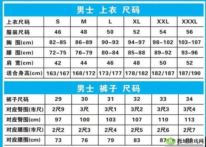 欧洲尺码 EU44N:时尚新选择