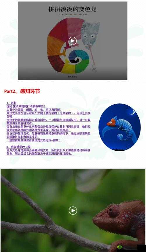 探寻村庄 towns 一闪即消失的奇特现象之应对良策