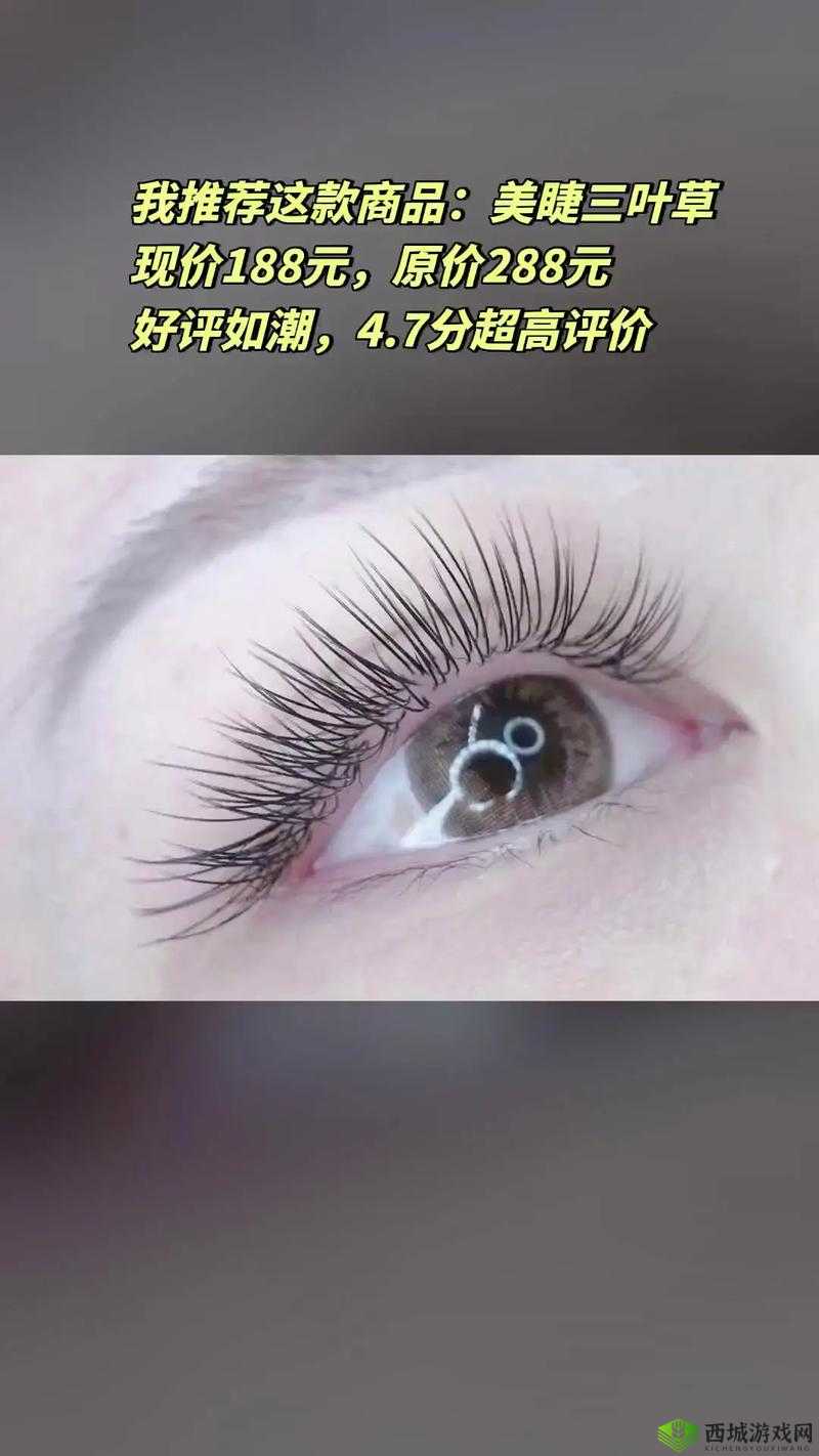 三叶草GW9355为何迟不上榜一:深度探究背后原因