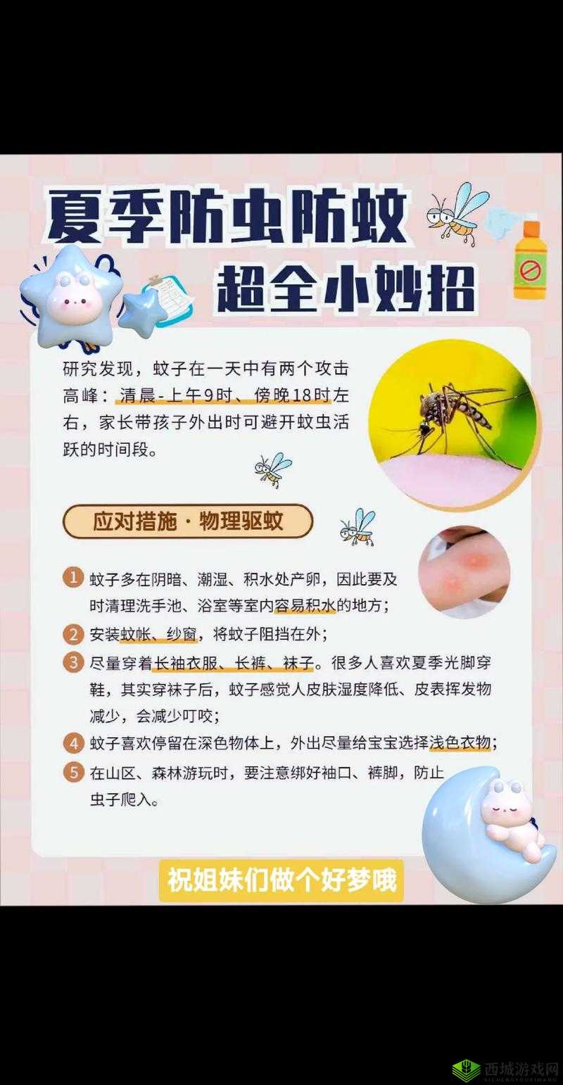 实用驱蚊方法大揭秘：多种妙招全方位守护您的夏日清凉与安宁
